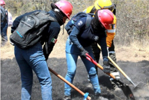 Profesionaliza SSP a Policía Estatal Forestal en protección al ambiente