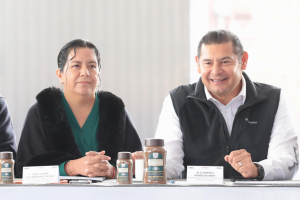 Delegaciones Microrregionales (Ventanillas o Módulos de Atención) 2026