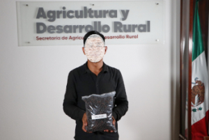 Concurso de calidad en taza reunirá lo mejor del café poblano
