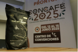 Por primera vez puebla será sede de la Convención Nacional de Café 2025
