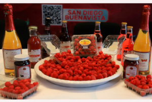 Feria de las Berries Huejotzingo 2024