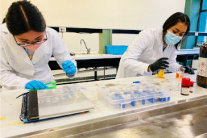 Investigan alumnas de la UTP compuestos para crear medicamentos anticancerígenos
