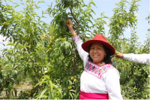 SADR recorre parcelas frutícolas en la zona del Izta-Popo