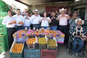 Arranca la temporada de producción de tejocote