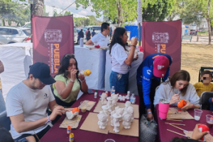 Taller de pintura de cerámica