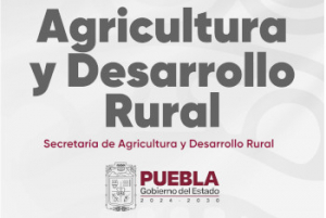 Directorio de delegaciones microrregionales del Estado de Puebla (Ventanillas o Módulos de Atención)