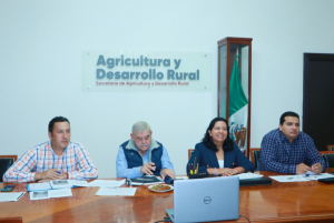 Órdenes de Gobierno refuerzan acciones para control del gusano barrenador del ganado