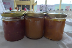 SADR impulsa economía local con talleres durante jornada ciudadana