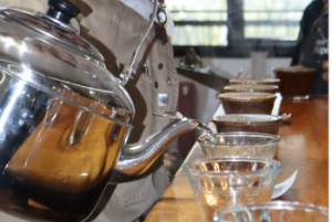 30 Cafés rumbo a la gran final del concurso “Calidad en taza 2025”