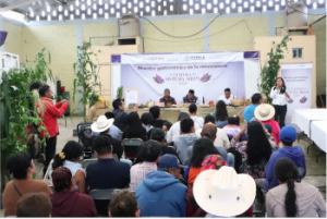 Convocatoria Sistema Milpa (AIEC)