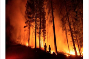 Programa Especial de Protección Civil para la Atención de Incendios Forestales 2024/Plan Contingencias de Incendios