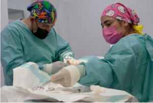 Servicio de urgencias y hospitalización se mantendrán activos el 3 de febrero: ISSSTEP