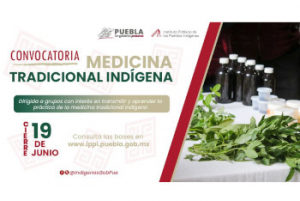 Programa de fortalecimiento al ejercicio de la medicina tradicional indígena