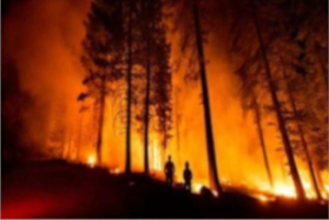 Programa especial de protección civil para la atención de incendios forestales 2025/Plan contingencias de incendios