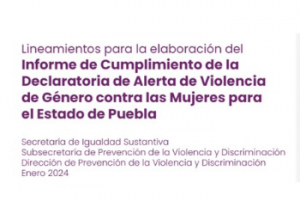 Lineamientos para el Informe de Cumplimiento de la Declaratoria de Alerta de Violencia de Género contra las Mujeres (DAVGM)