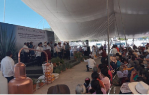 Arranque del Programa de Impulso al Agave Mezcalero
