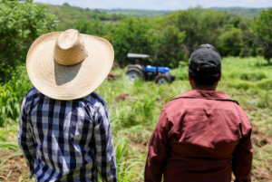 El programa Seguridad para el Campo impulsa certeza para las familias poblanas