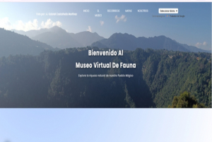La perspectiva incluyente de la tecnología para la ciudadanía digital. El caso de la página web: "El Pueblo Mágico de Zacatlán"