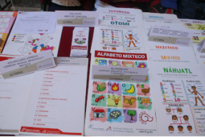 Materiales didácticos en lenguas indígenas